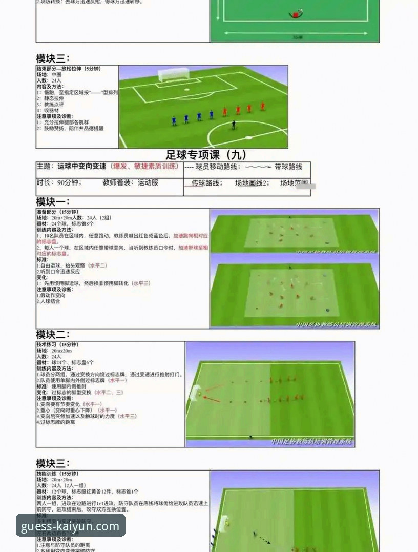 沙特联赛生存指南：从布朗希尔适应经历看跨文化踢球操作教程